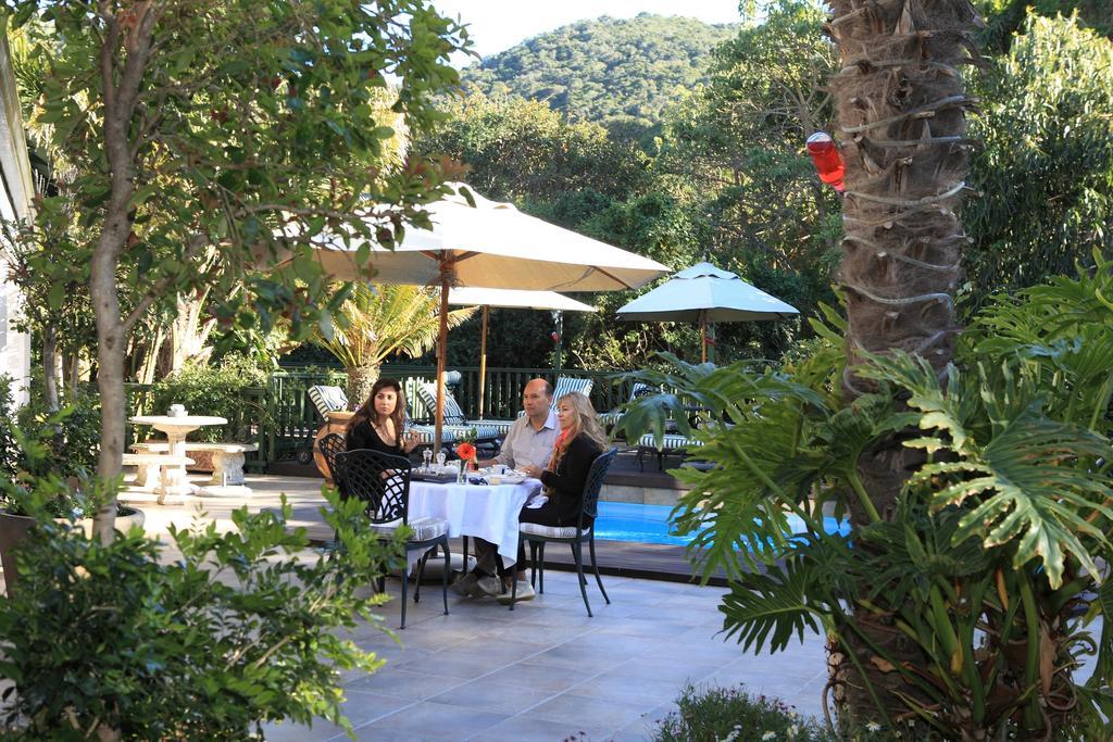 Cinnamon Boutique Guest House Wilderness Εξωτερικό φωτογραφία