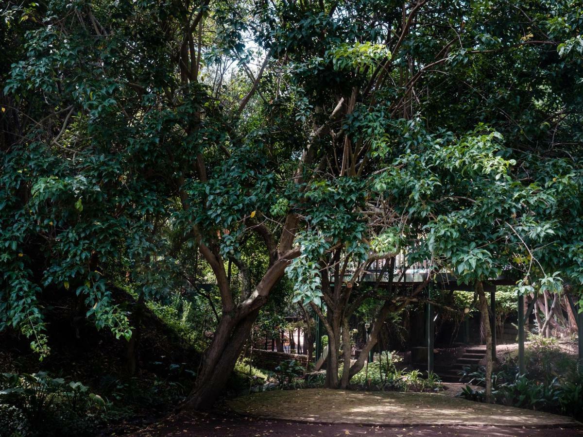 Cinnamon Boutique Guest House Wilderness Εξωτερικό φωτογραφία